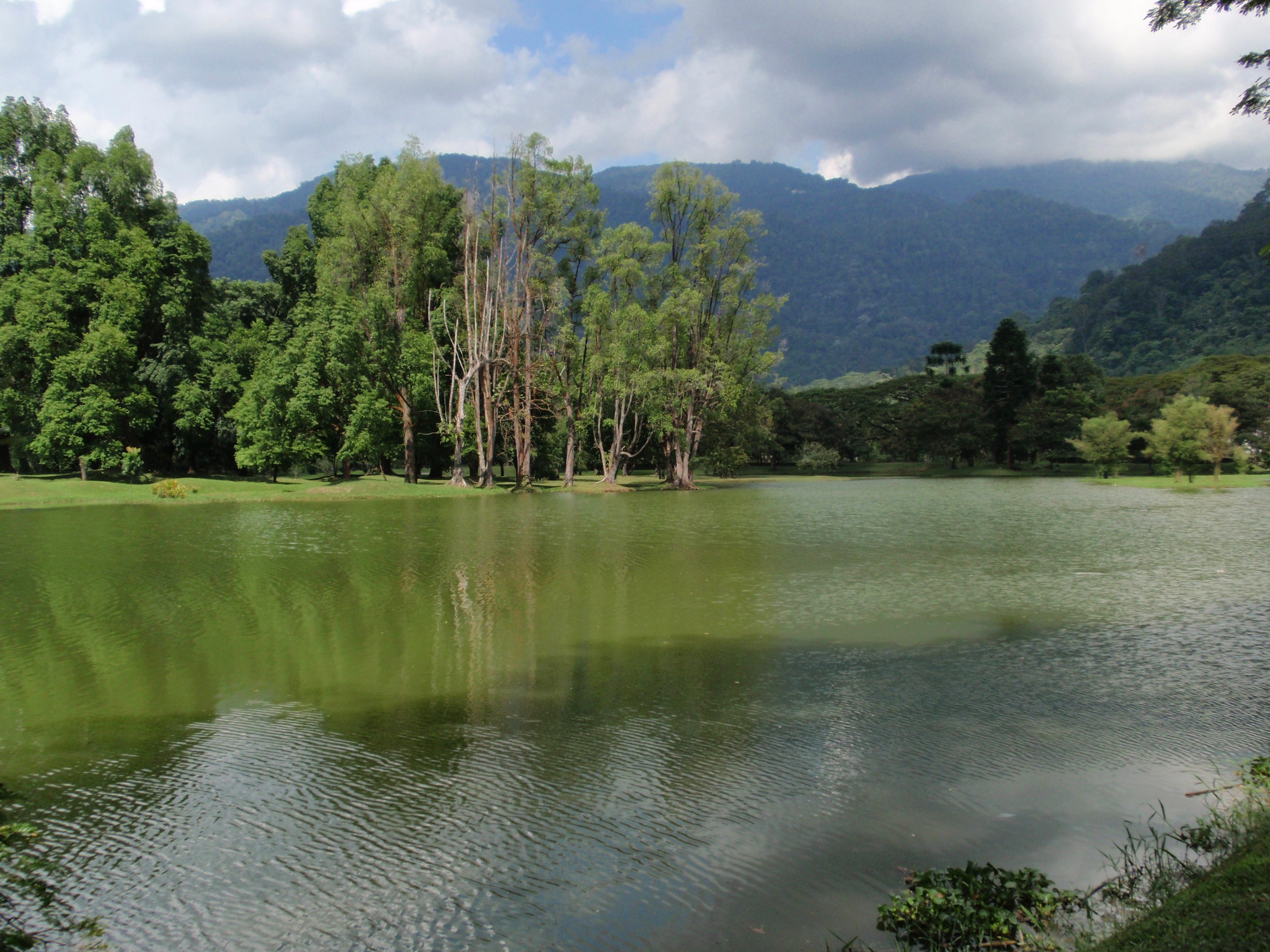 taiping 1.JPG